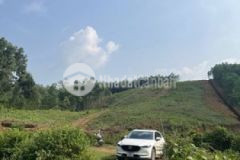 Cần bán đất trong tuần