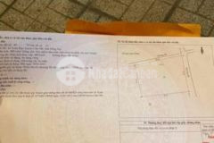 Đất vườn sầu riêng 3 mặt tiền full hồng