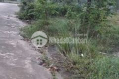 Cần tiền bán gấp lô đất thổ cư