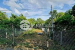 Nền biệt thư 8 7 35 có 298m2 odt rạch chuối pd