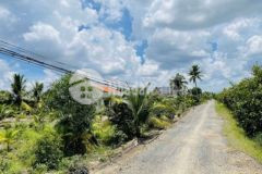 1000m2 đất vườn 25 x 40m bến lức la 900tr