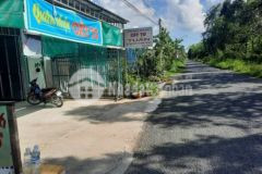 Nền mặt tiền đường vào nông trường mùa xuân