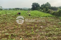 Đât đẹp giá rẻ 4434m2 400 tc liên sơn lương sơn hb