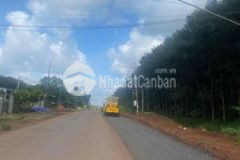 Đất nhà cc sổ sẵn mặt tiền nhựa 5m ngay tân lợi bp