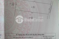 Nền 500m2 luc đường ô tô mỹ quý kế 2 lúa