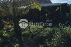 Đất chính chủ cần bán giá tốt tại ninh tây đức hòa