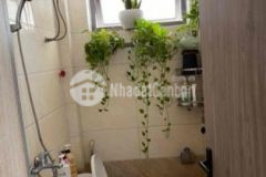 Chính chủ bán căn chung cư cât tường eco