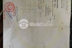 48m2 thổ cư 4x12 xây tự do đường 113 ttđ 880tr