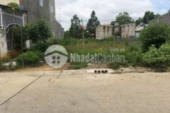 Bán đất dương minh châu shr gần kcn