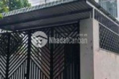 Bán nha định hoa thông tran ngoc len va mptv