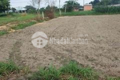 9 chủ cần bán 17x38 sau lưng ubnd đức lập thượng