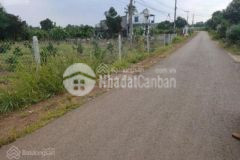 Chính chủ cần bán gấp mảnh vườn diện tích 1016m²