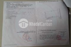 Ngay gần chợ tân lập