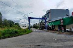 Nền 300m2 mặt tiền đường cầu ông cửu p thường thạ