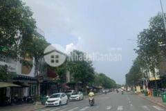 Hàng hiếm nhà đường n1 khu d2d biên hoà