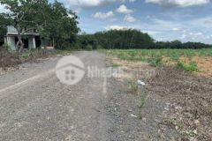 Đất 1000m shr dân đông htro lên thổ 100m