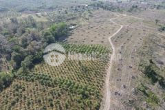 Ra gấp 112 ha đất nông nghiệp kdc