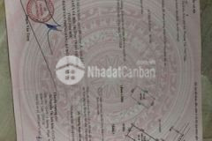 Bán nhà shr sau metro q12