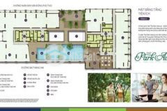 The park avenue quận 11 bán đợt 1 ưu đãi hấp dẫn