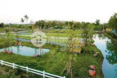 Chính chủ bán 1000m đất trồng cây shr