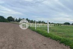 Bán đất vỉnh tân tuy phong