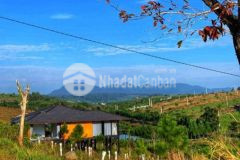 Đất gần thác dambri lộc tân 300m2 full thổ cư