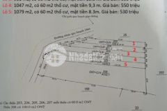 Mở bán 5 lô f0 cho nhà đầu tư