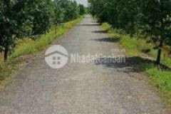 Bán 3000m2 đất xã long phước huyện long hồ