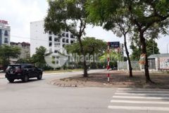 Bán đất văn tiến dũng 74m2 mt5 05m nhỉnh 8 tỷ