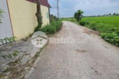 Bán đất view cánh đồng tại trừng xá bắc ninh