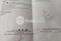 Bán gấp lô đất 1018 m2 tại phú riềng shr 389 tr