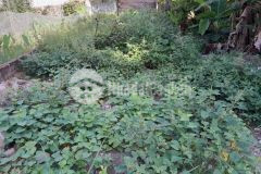 Bán cắt lỗ 180m² mt9m đất thổ cư tam đồng mê linh hà nội, đường ô tô tránh chỉ 20 triệum2.