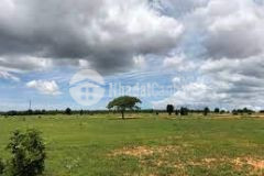 Bá đất trồng ncây lâu năm cạnh bên safari rạng đông,shr, công chứng ngay