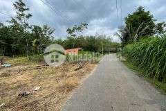 Mặt tiền nhựa 1 sẹt của dt783 tân biên tây ninh. hơn 170m2 giá chỉ 4xx