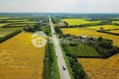 Bán lô đất nằm cách ql1a chỉ 500m,shr, công chứng ngay