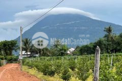 Bán lỗ 1 lô ở tân châu tây ninh giá 300tr shr chính chủ