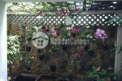 Bán biệt thự mini phan đình phùng phú nhuận 7.3x12.9m 237m2 sổ vuông vức ngay trung tâm phú nhuận.