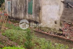 Cần bán đất thụy lâm, đông anh, ô tô, kinh doanh, giá nhỉnh 3 tỷ, 037.5555.372