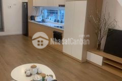 Bán nhà tập thể hồng mai, 60m2, lô góc, tặng toàn bộ nội thất
