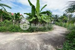 Bán đất diên phước 2 mặt tiền rộng rãi xây nhà vườn