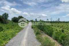 Đất vườn chính chủ ký gửi đường ô tô giá tốt