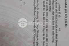 Cần bán 2 lô phú hoà liền kề ngang 9m