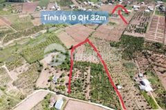 Rẫy 150 sầu riêng 90m mặt đường 500m liên xã