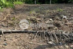 Đất thổ cư phong điền cần thơ