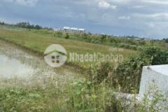 Chính chủ bán 2200m khu gần dự án mới an châu 500m