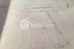 Ngay sau lưng nhà mt tiểu la otto đậu đỗ