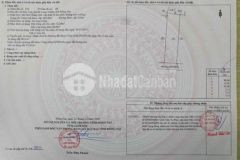 Chính chủ cần bán gấp 600 m thổ cư bàu can long