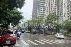 Mặt phố trần kim xuyến vỉa hè mt 5 5m tm chờ kd