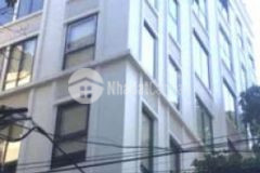 Bán nhà dòng tiền nguyễn khánh toàn 90m2 13tỷ