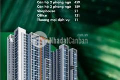 Căn hộ park avenue mt 3 tháng 2